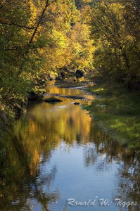 425817_10151156578842381_1745348157_n